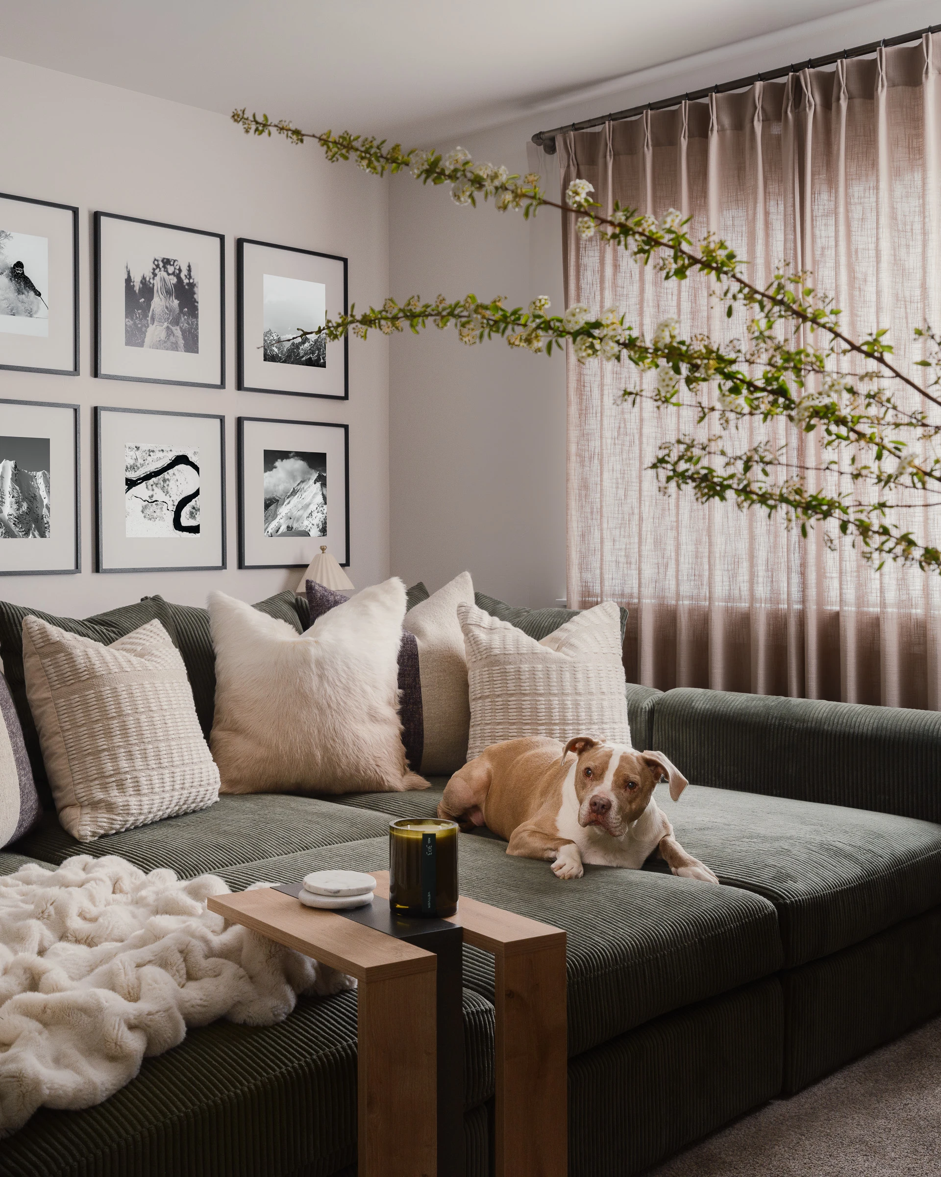 Interior photography — Kevin Chartier private collection